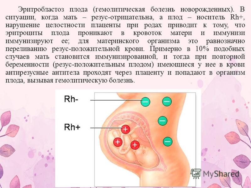 Резус положительная мать