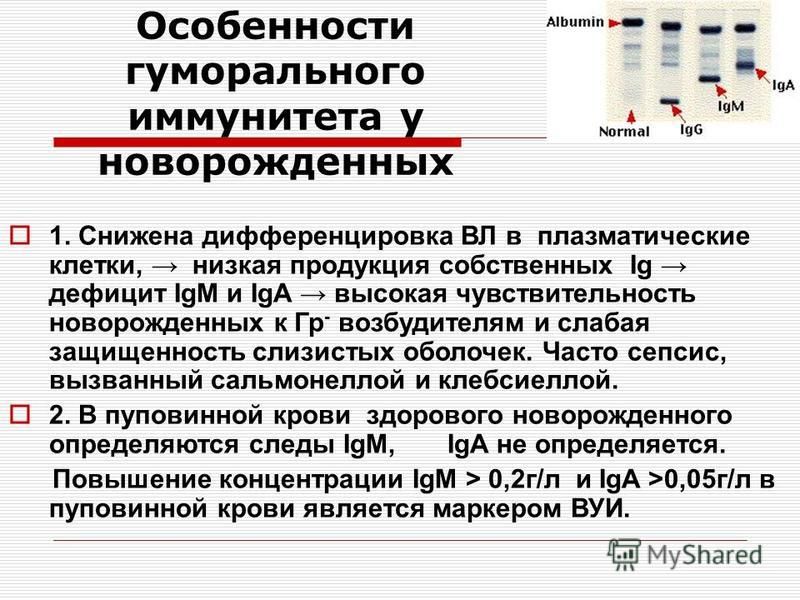 Особенности иммунной. Особенности иммунитета у новорожденных. Иммунный ответ у новорожденных. Иммунная система грудного ребенка.