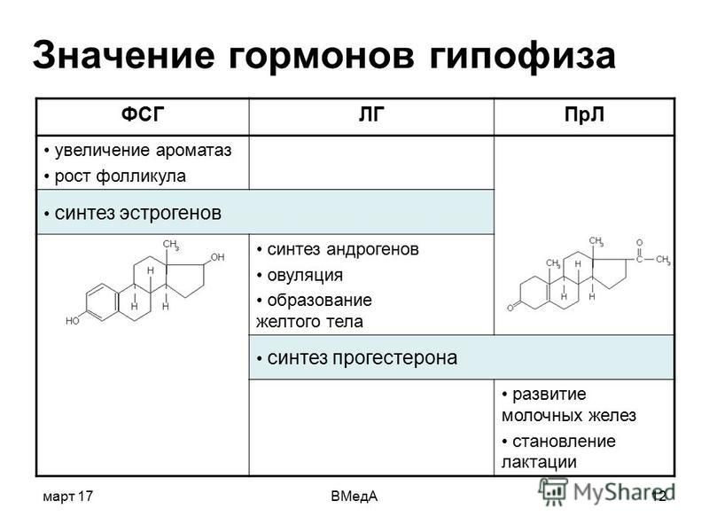 Значение гормонов. Синтез эстрогена и прогестерона. Образование эстрогенов. Образование эстрогенов из андрогенов. Эстрогены биохимия.