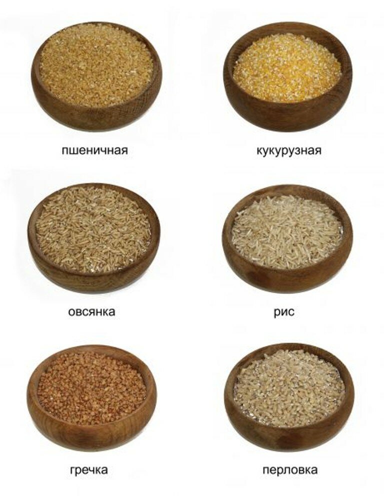 Виды крупов. Крупы. Виды круп. Крупы названия. Крупы для каш.