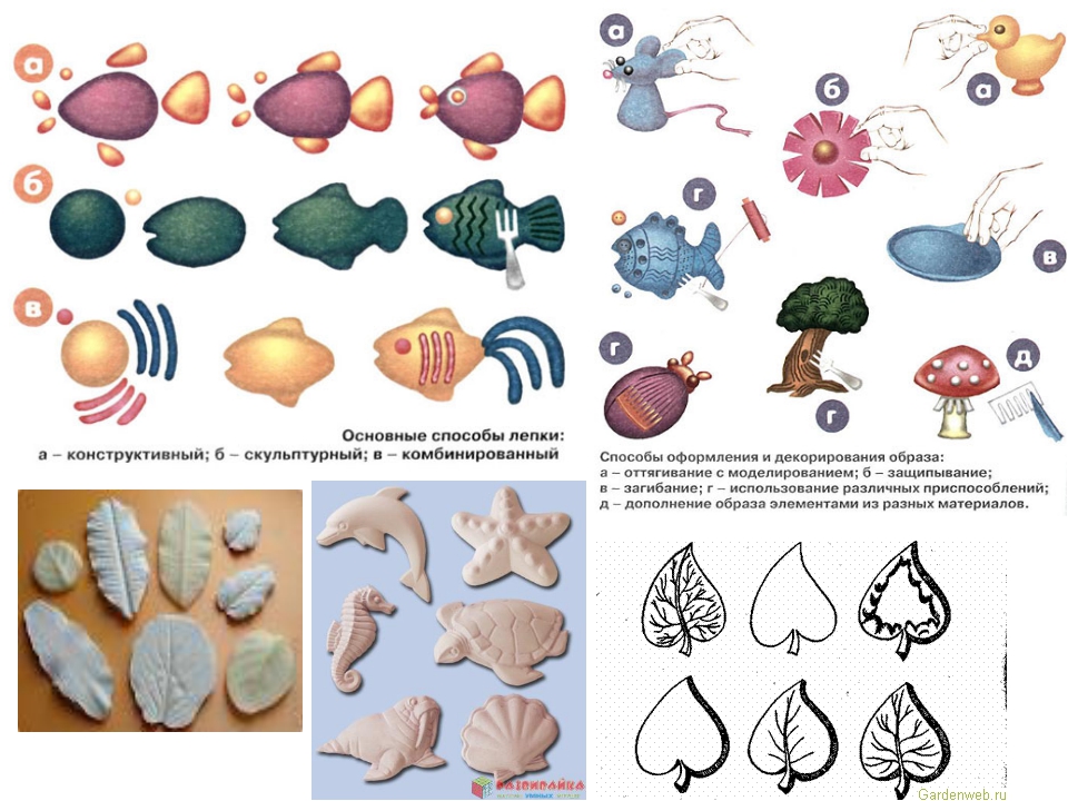 Техники лепки. Базовые элементы лепки. Способы лепки для дошкольников. Конструктивная техника лепки. Лепка простых форм.