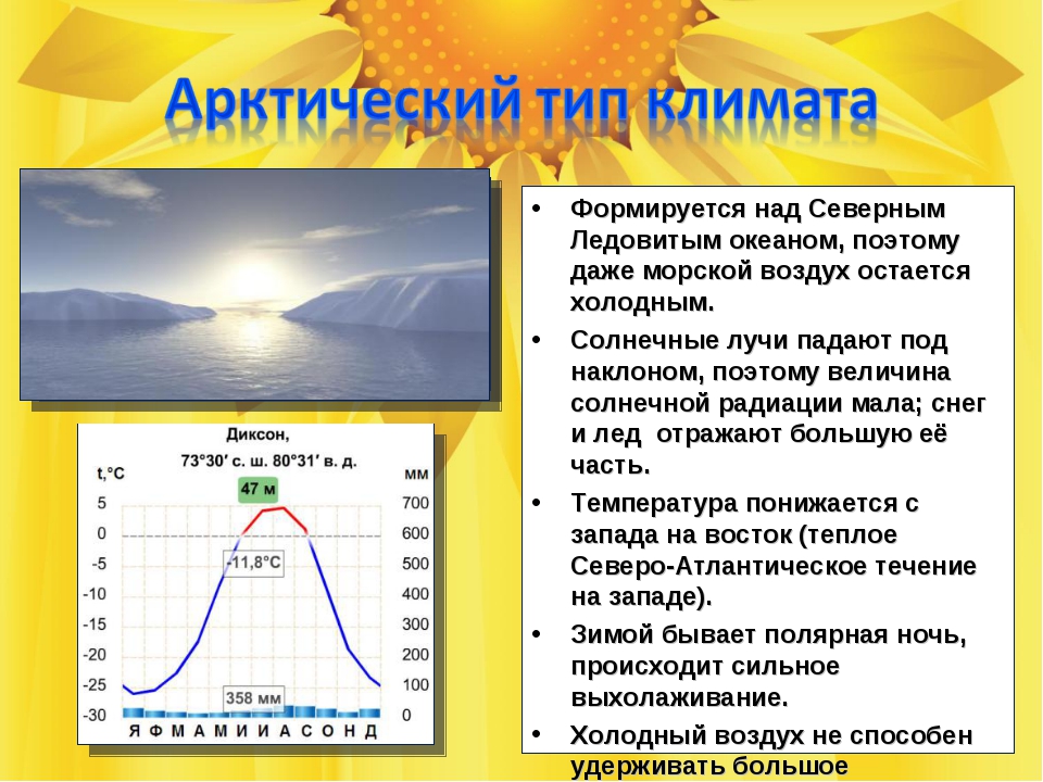 Какой тип климата характерен для сибири. Арктический Тип климата. Типы климата России. Климат типы климата. Тип климата в Арктике.