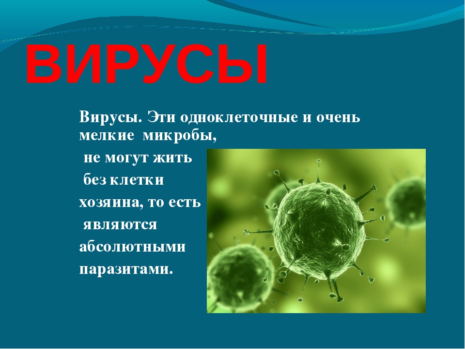 Почему бактерии вирусы одноклеточные водоросли. Одноклеточные вирусы. Вирусы это одноклеточные организмы. Вирусы одноклеточные или многоклеточные организмы. Вирусы это многоклеточные организмы.