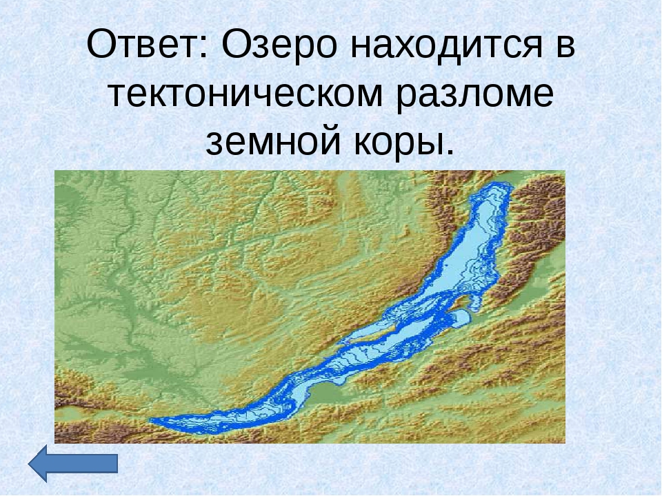 Примеры тектонических озер. Тектонический разлом озера Байкал. Рифтовая зона Байкала. Рифтовая зона озера Байкал. Рифтовая впадина Байкала.