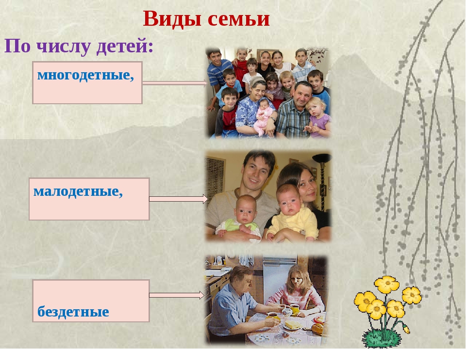 Семьи отличаются. Семья виды семей. Виды семей презентация. Типы семей поколичестиву детей. Виды семей по числу детей.