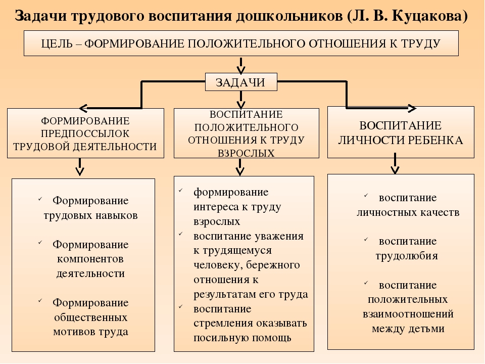 Трудовая деятельность возраст