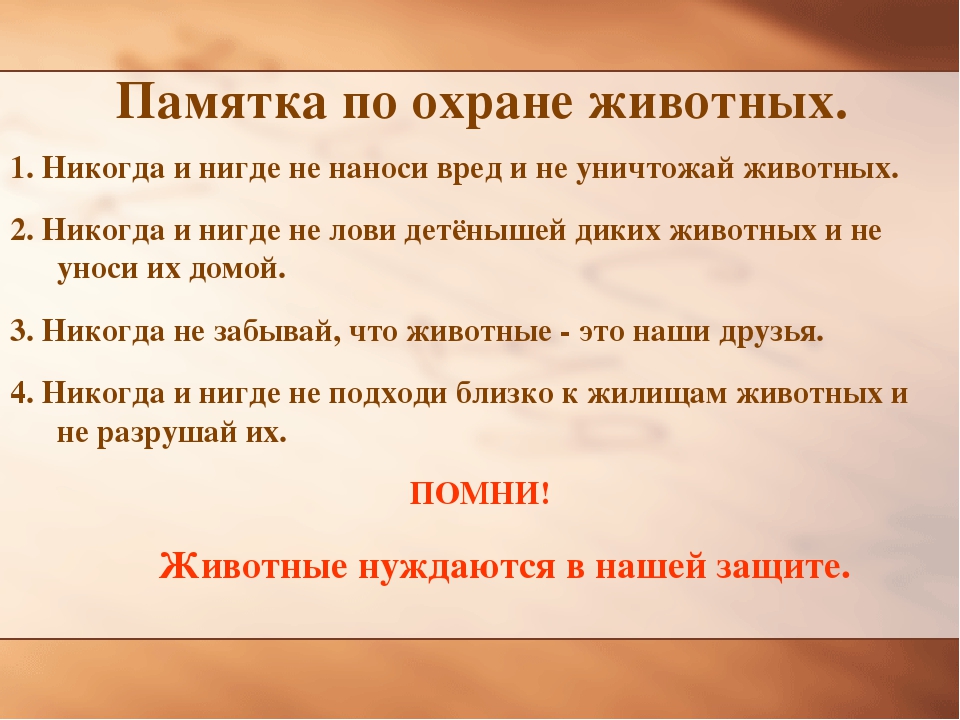 Причины сохранения. Памятка об охране животных. Памятка по охране животных 3 класс. Меры по защите животных. Памятка по охране растений и животных.