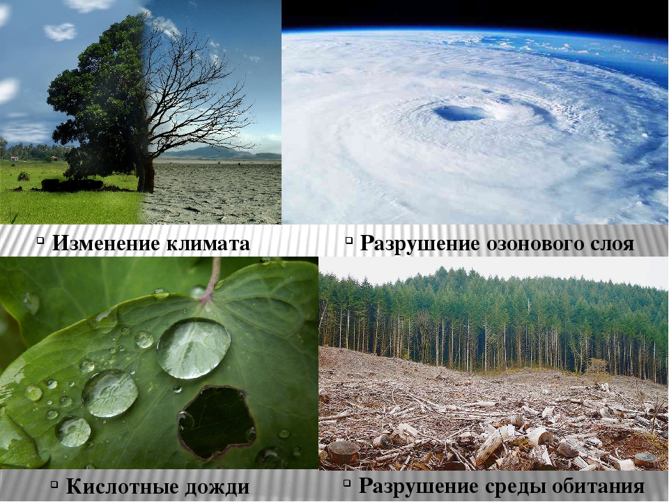 Влияние изменений климата. Разрушение озонового слоя кислотные дожди. Влияние изменения климата на живую природу. Изменение климата разрушение озонового слоя. Влияние человека на климат земли.