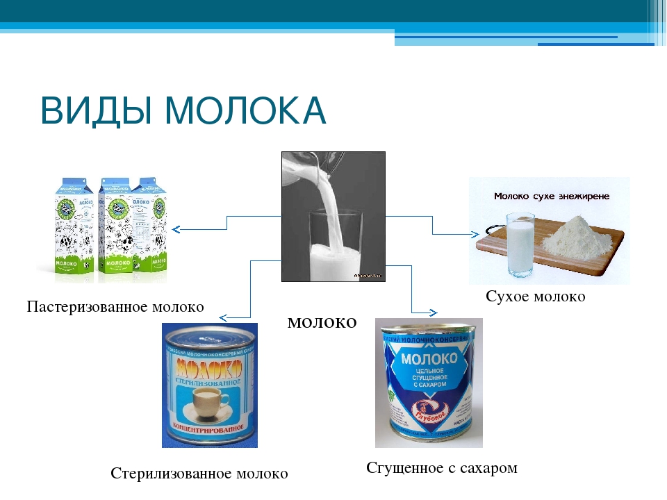 Виды молока. Виды молочных продуктов. Формы молока. Перечислите виды молока.