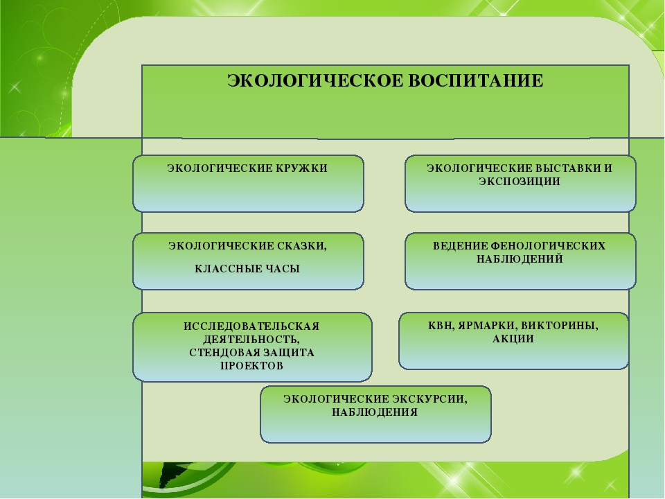 Направления экологии. Экологическое воспитание. Экологическое воспитание школьников. Направления экологического воспитания. Направление по экологическому воспитанию.