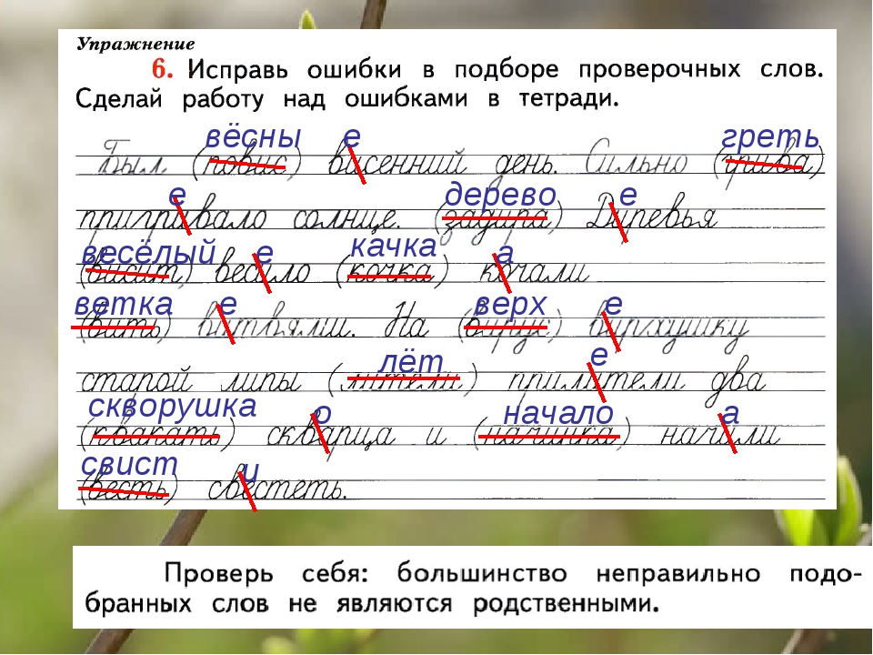 У веры перепутались письма и фотографии прочитай и помоги разобрать письма по датам