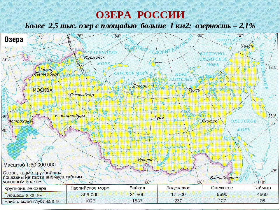 Обозначьте озера на контурной карте. Озера России на карте. Крупные озера России на карте. Озера России на карте России. Крупнейшие озера России на карте.