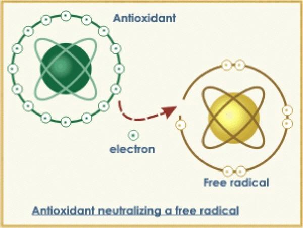 антиоксиданты препараты