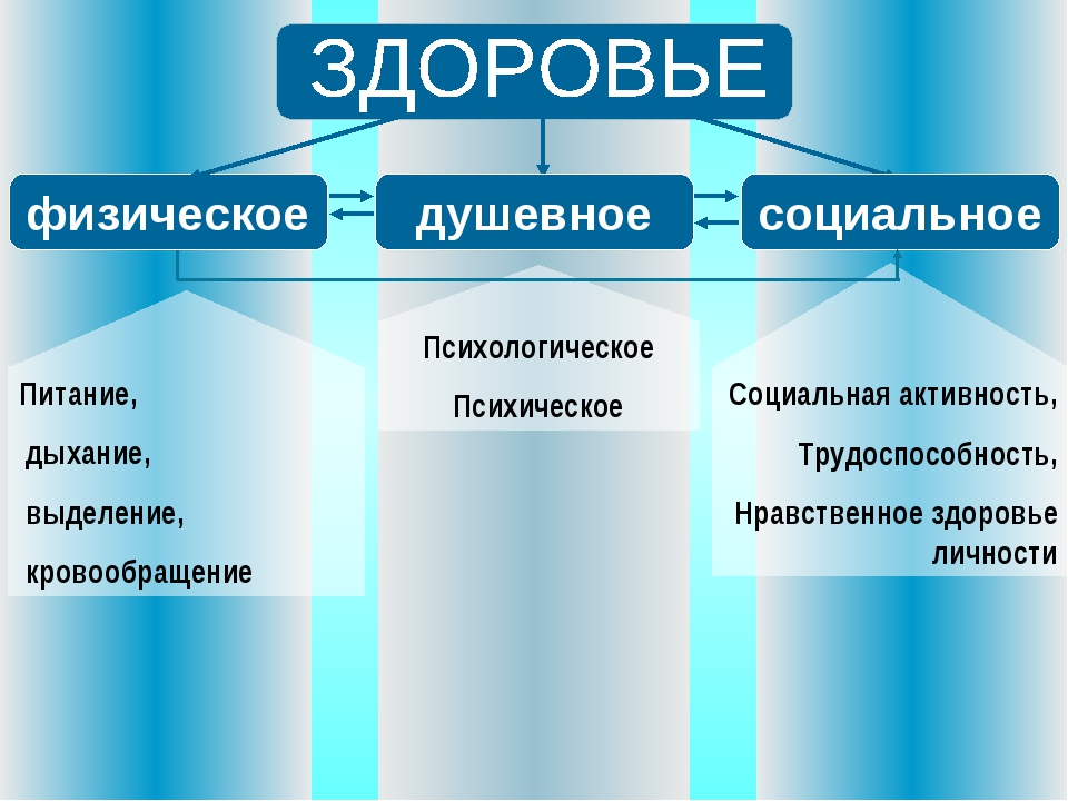 Виды здоровья. Взаимосвязь психического и физического здоровья. Физическое и психическое здоровье. Физическое психологическое и социальное здоровье. Составляющие здоровья физическое психическое и социальное.