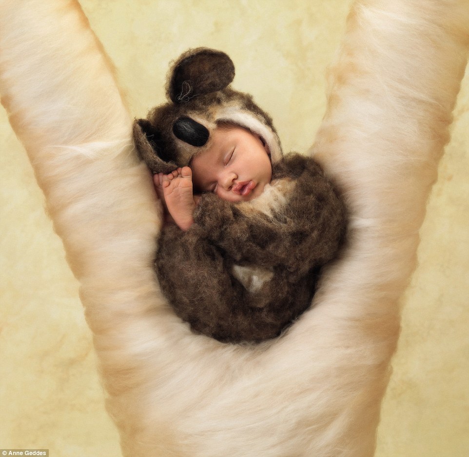 An adorable newborn dressed in a koala outfit snuggles in between a woolen branch in a sweet shot from the book