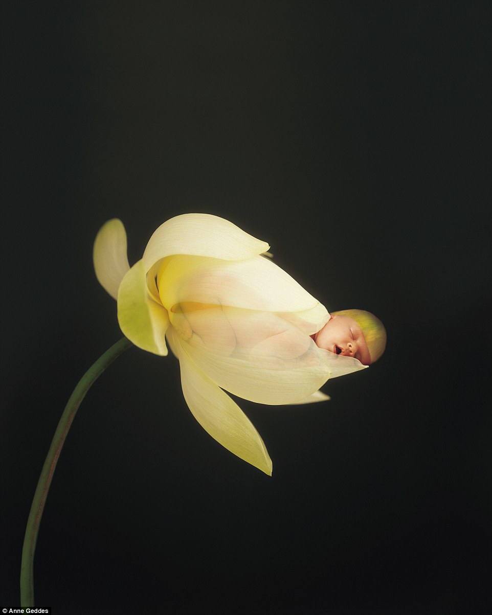Dress a newborn up as a flower and the world melts. Anne Geddes has released such shots from her four decade-long career. And guess what? They