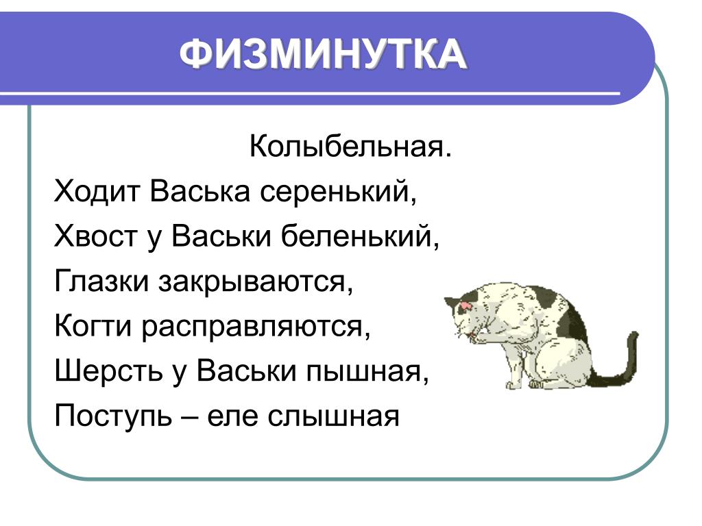 План котенок