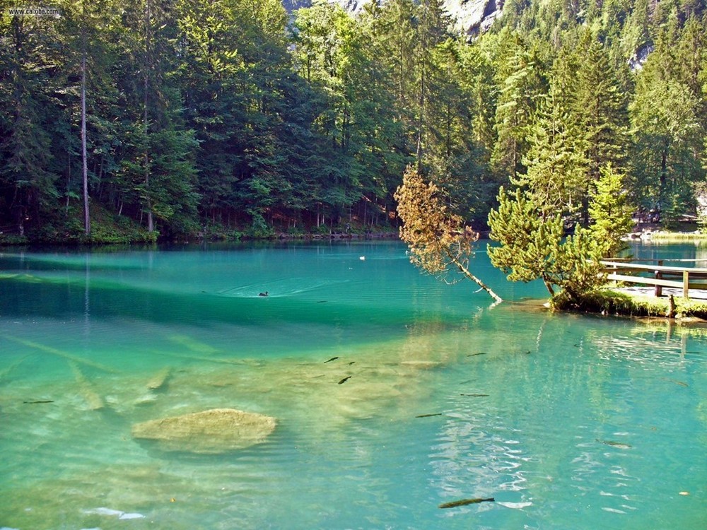 Самые чистые водоемы Земли