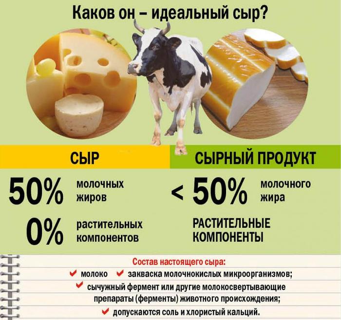 Сырный продукт и сыр в чем разница. Состав натурального сыра. Норма потребления сыра. Фальсификации молочных и растительных продуктов. Состав настоящего сыра.