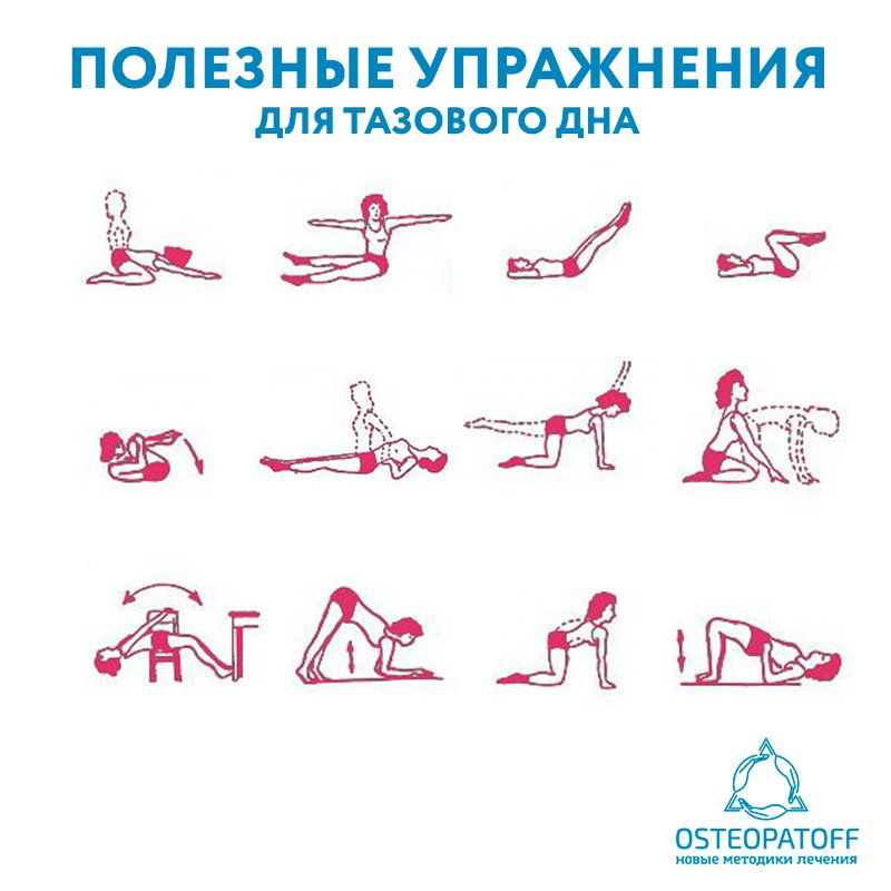 Упражнения для тазового дна для женщин. Упражнения для укрепления мышц тазового дна. Комплекс упражнений для мышц тазового дна при опущении. Упражнения для укрепления тазового дна для женщин. Упражнения для укрепления мышц малого таза у женщин.