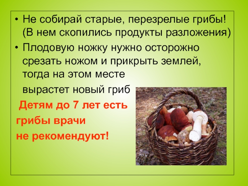 Продукты разложения. Не собирать грибы. Не собирай старые грибы. Почему нельзя собирать старые грибы. Почему нельзя есть грибы детям.