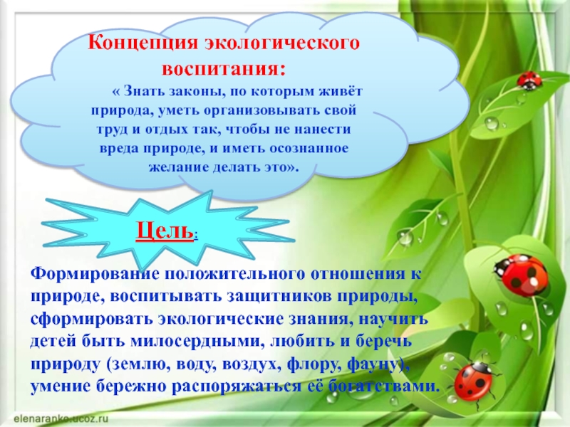 Экологическое воспитание это. Концепция экологического воспитания. Концепция экологического воспитания дошкольников. Презентация экологическое воспитание дошкольников. Презентация по экологическому воспитанию в младшей группе.