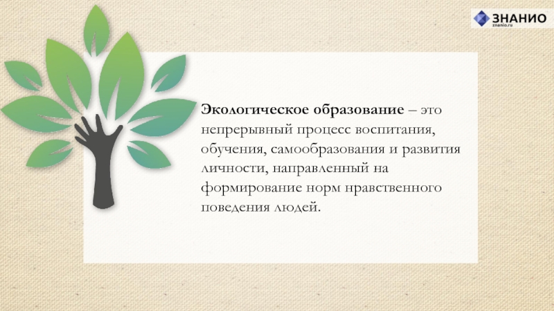 Экологическое воспитание это. Экологическое образование. Экологическое образовани. Экология образование. Экологическое образование и воспитание.