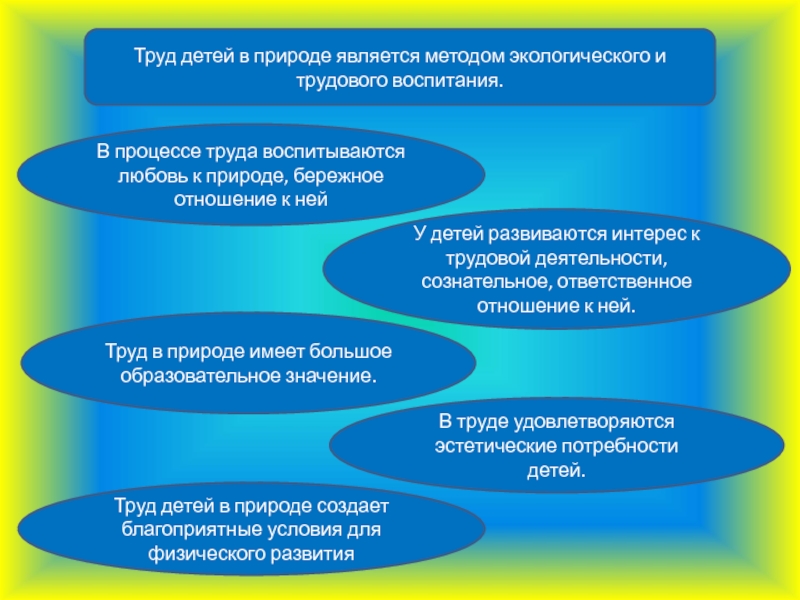 Труд представить. Своеобразие труда в природе у дошкольников. Формы труда в природе в детском саду. Виды труда в природе дошкольников. Формы организации труда в природе в ДОУ.