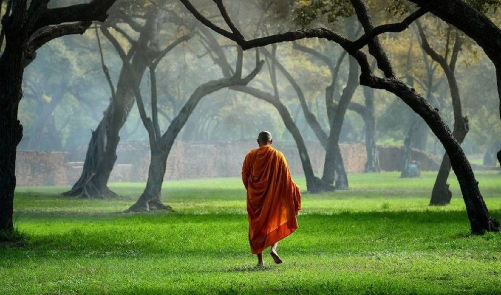 Медитация при ходьбе, монах на природе