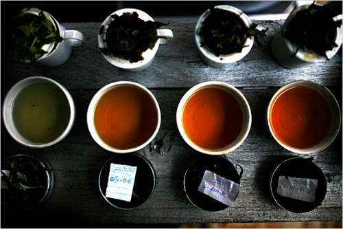 Кофеин чая: заблуждения и реальность - TeaTerra